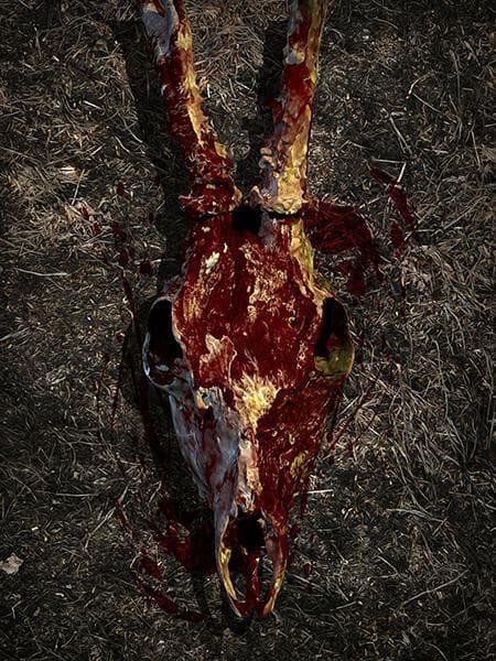 Northbury Grove: Kings Comfort screenshot 2