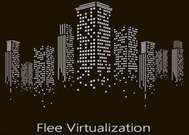 FleeVirtualization