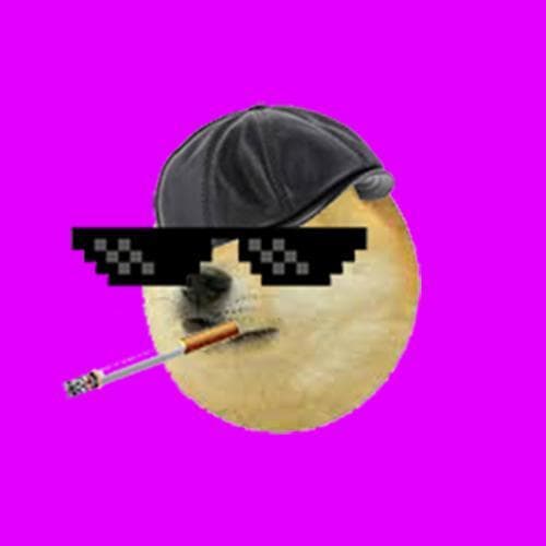 Doge & Bread!