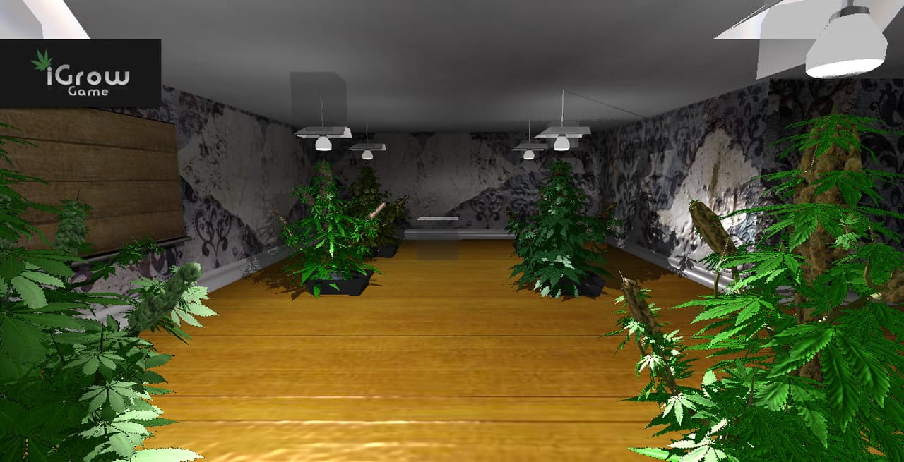 iGrow Game screenshot 4
