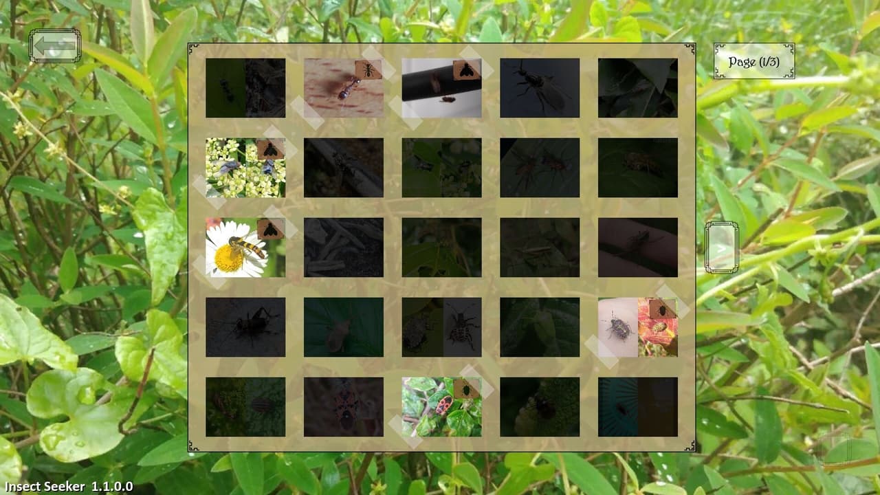 Insect Seeker screenshot 6