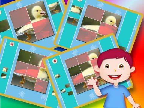 Picture Jigsaw Puzzle - Animal
