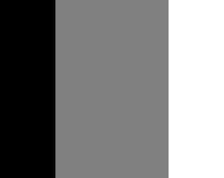 Gradient Particles