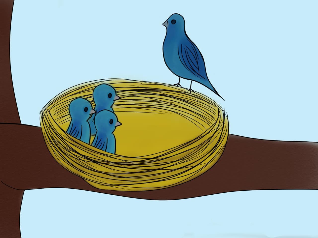 The Little Bird