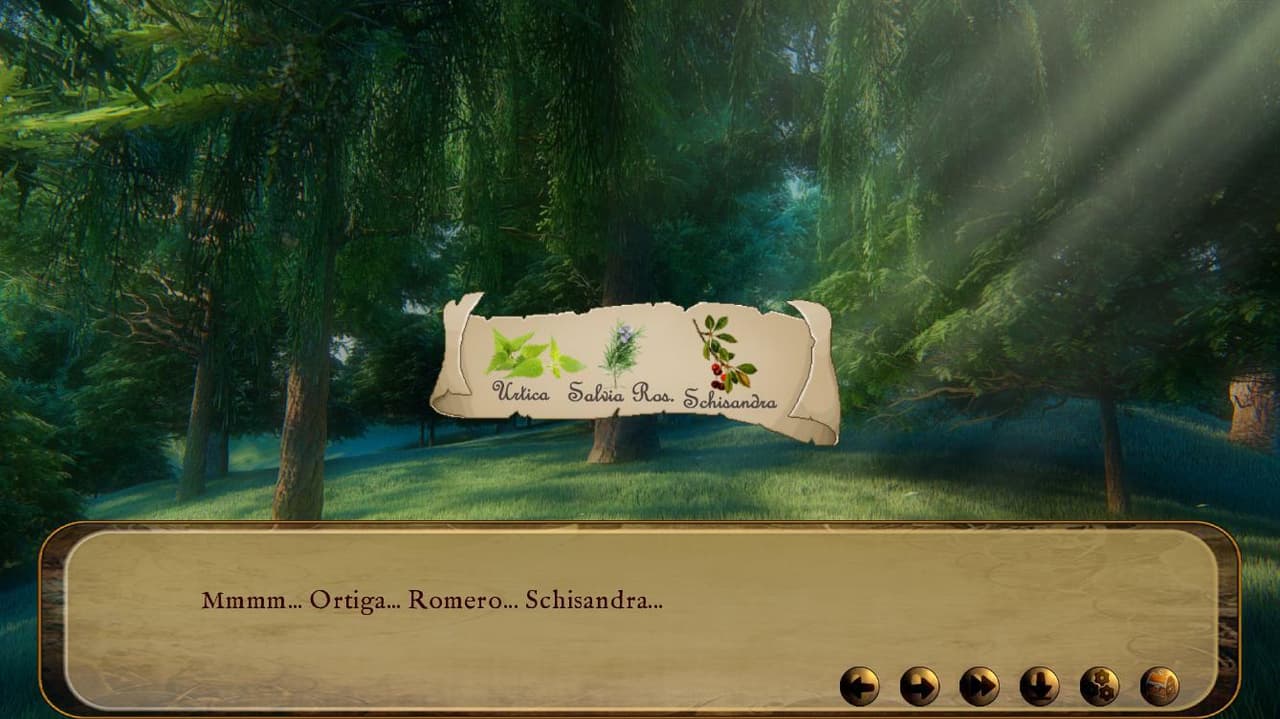 Deep in the Forest (Ertal Games)
