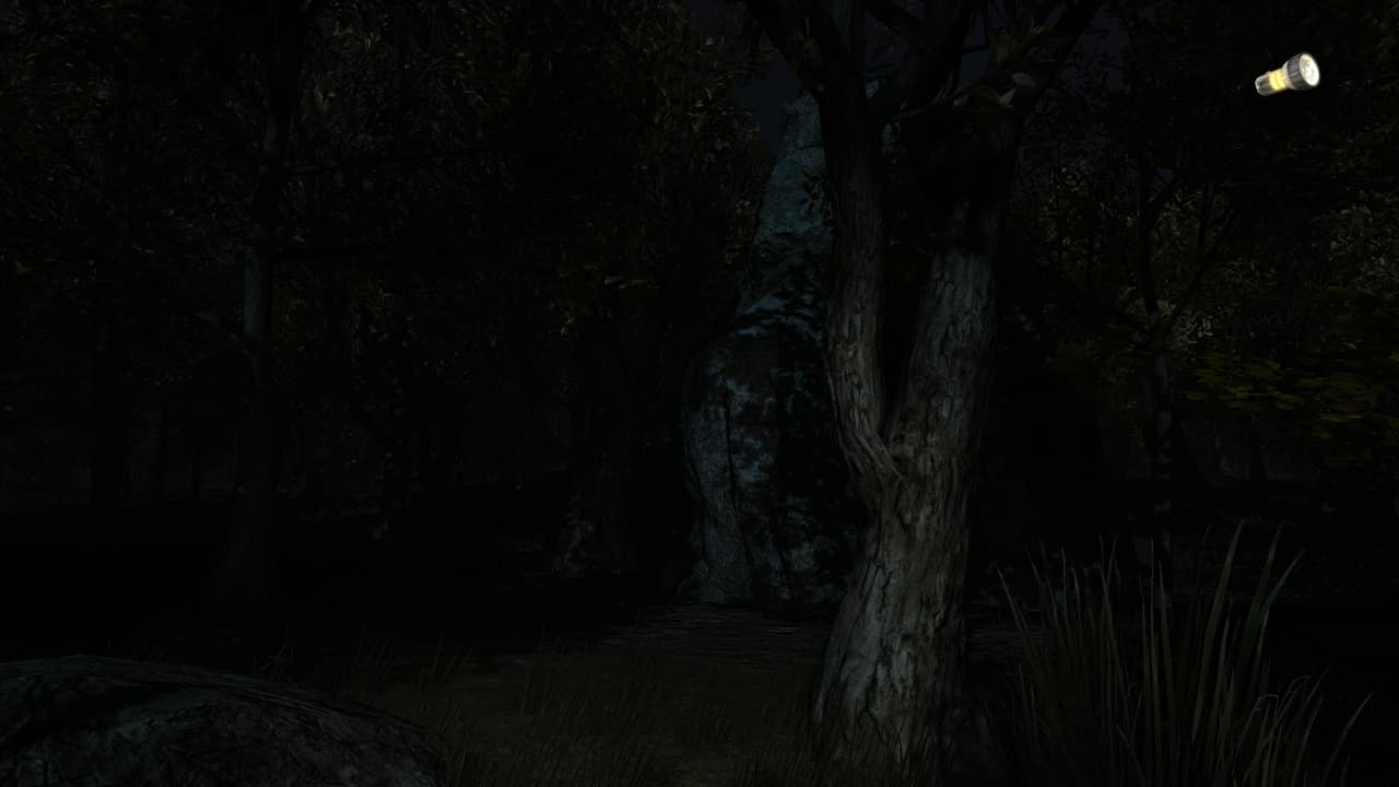 The Secret of Pineview Forest