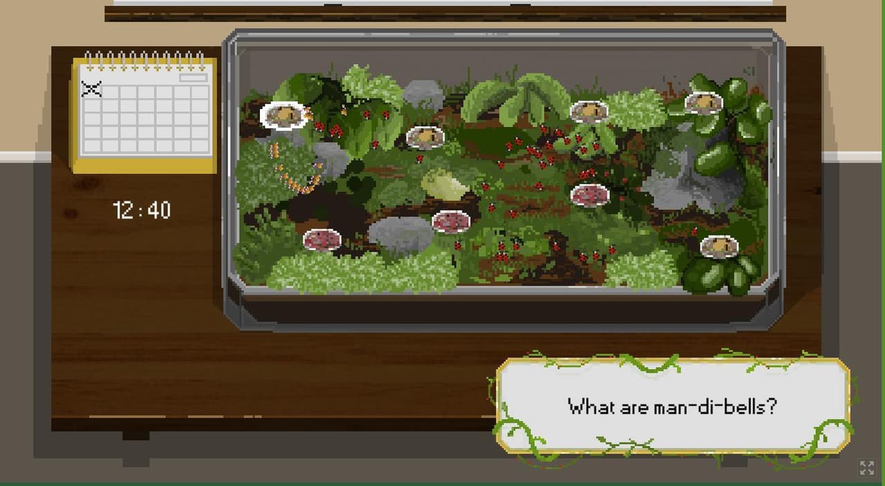Ladyrium screenshot 2