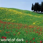 world of dark screenshot 2