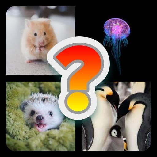 Guess the Animal (pipworld22)