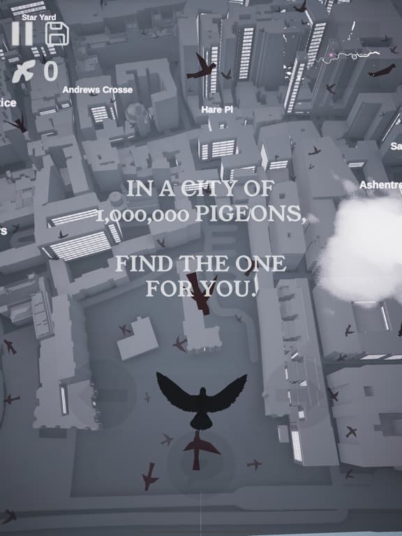 Pigeon: A Love Story screenshot 2