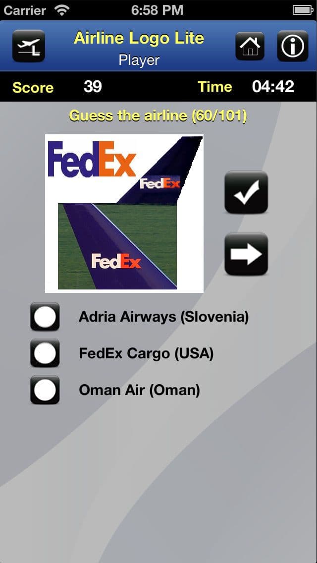 Airline Logo Lite screenshot 4