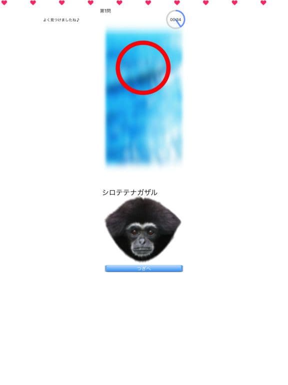 Animal Faces L/R Touch screenshot 3