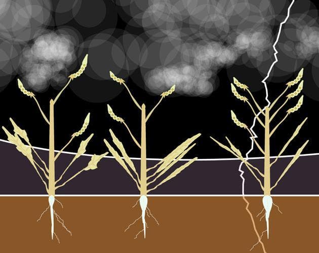 Evolving mustard screenshot 2