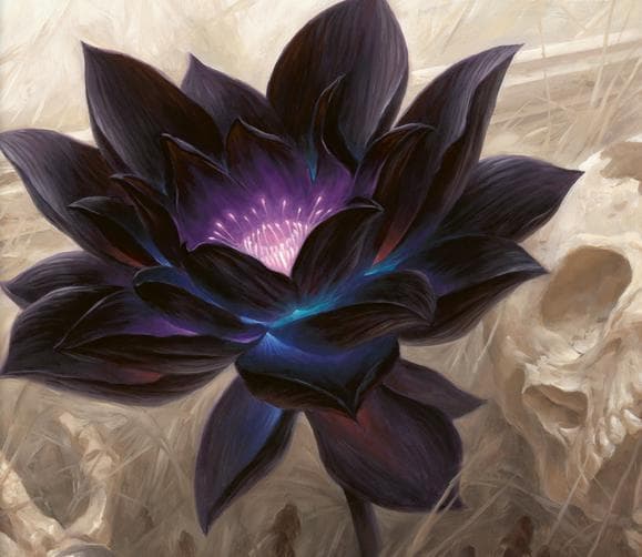 Shadowbloom quest