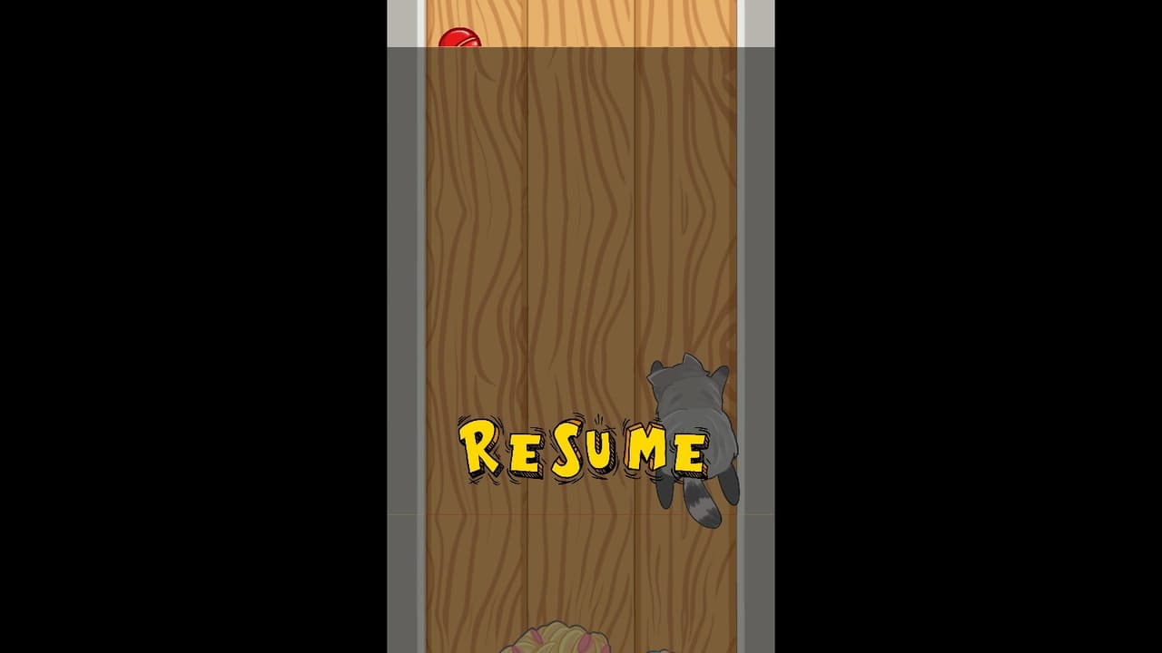 Karen VS Racoon