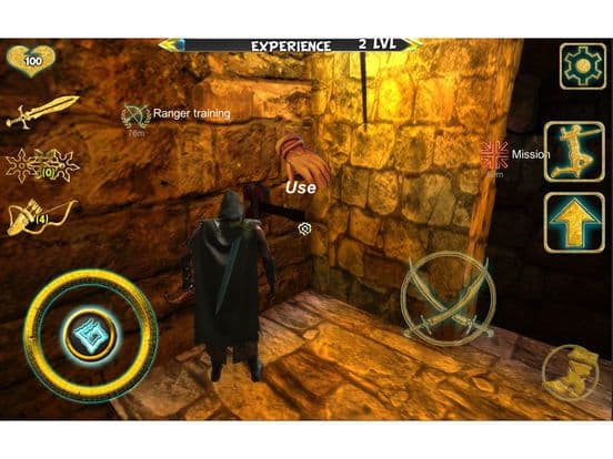Ninja Assassin IV