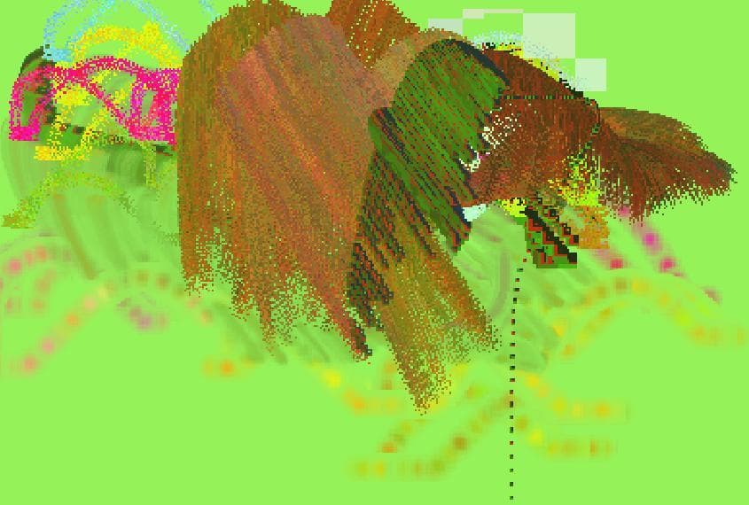 Action Painting Pro screenshot 6