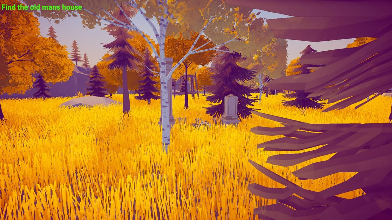 Forest Mystery