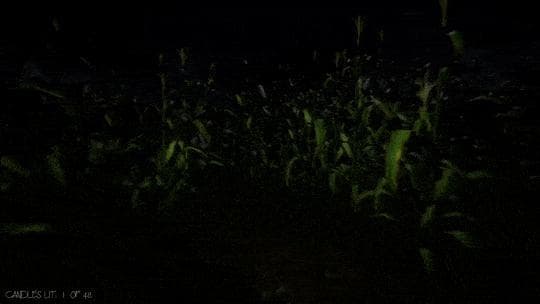The Field (Sinister Twist Games)