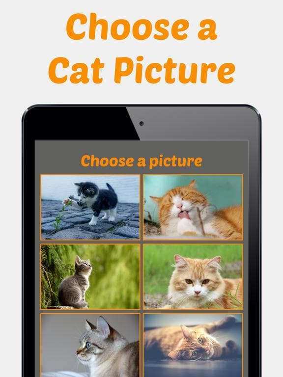 Cute Kitten Photos Puzzle screenshot 2