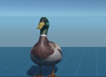 And There Was DUCK