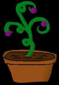 Mr. Smartyplants