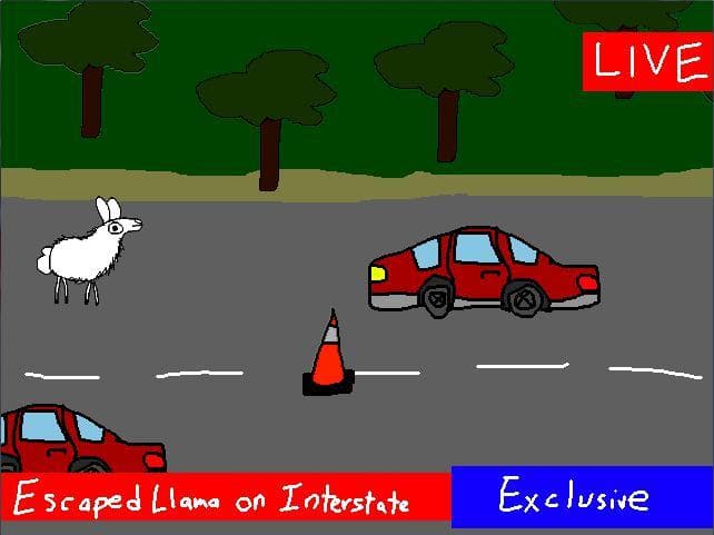 Llama Drama