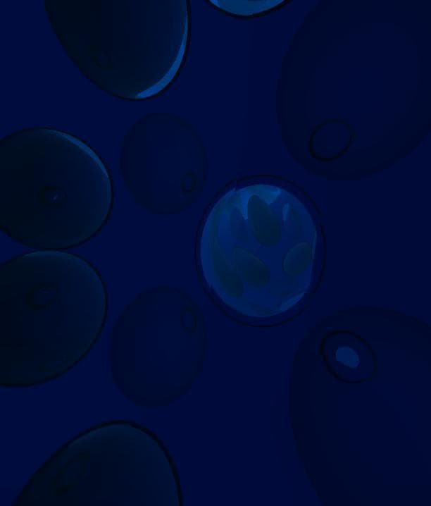 VR Fractals (itch) screenshot 6
