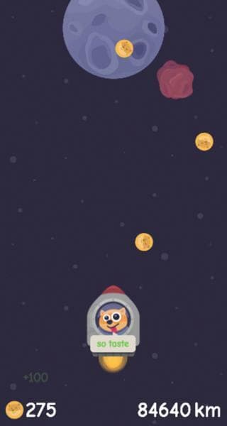 T-minus DOGE screenshot 3