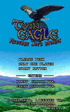 Twin Eagle screenshot 2
