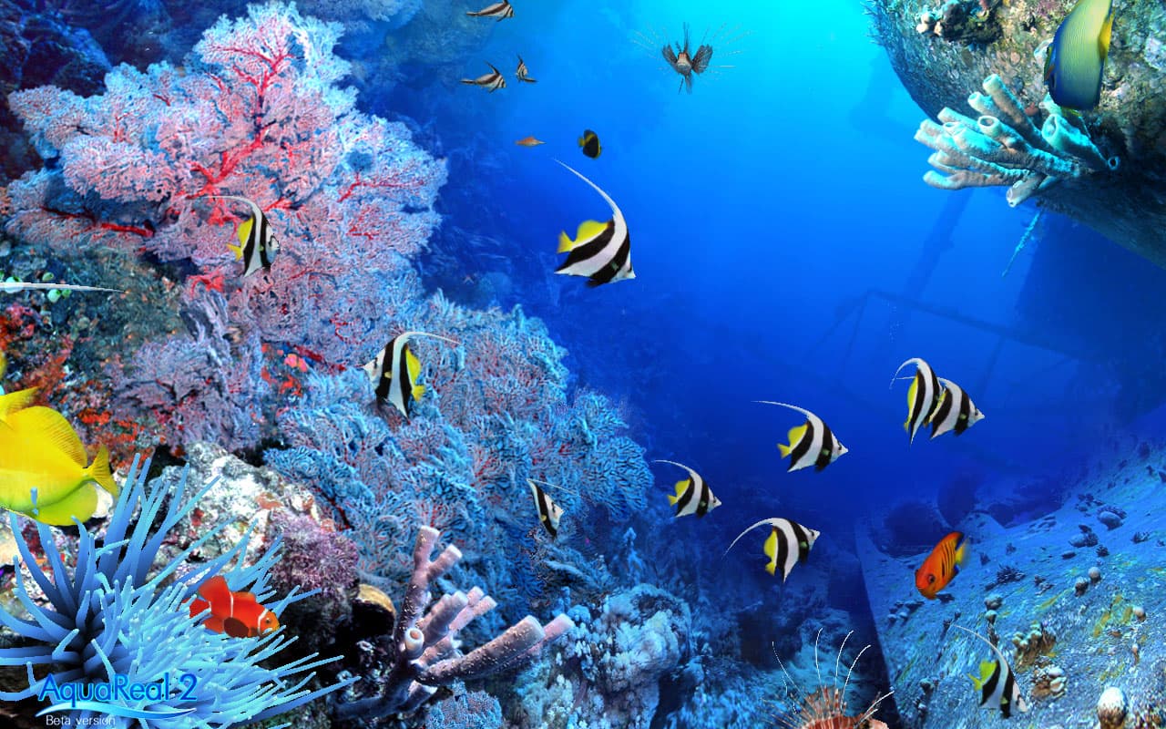 DigiFish Aqua Real 2 screenshot 3