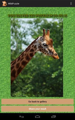 Wild Animal Puzzle Free