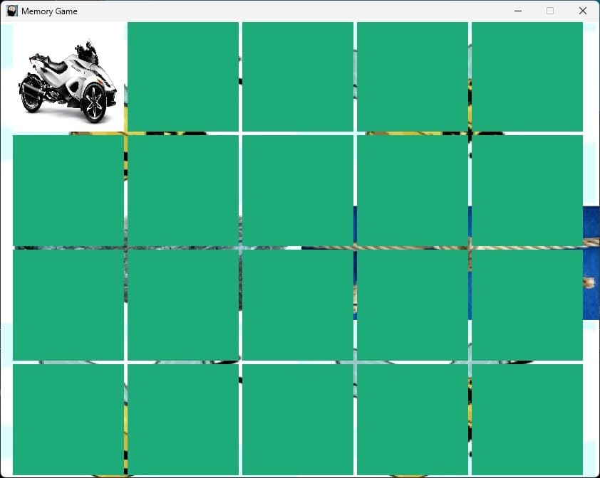 Spyder Memory Match Game screenshot 2