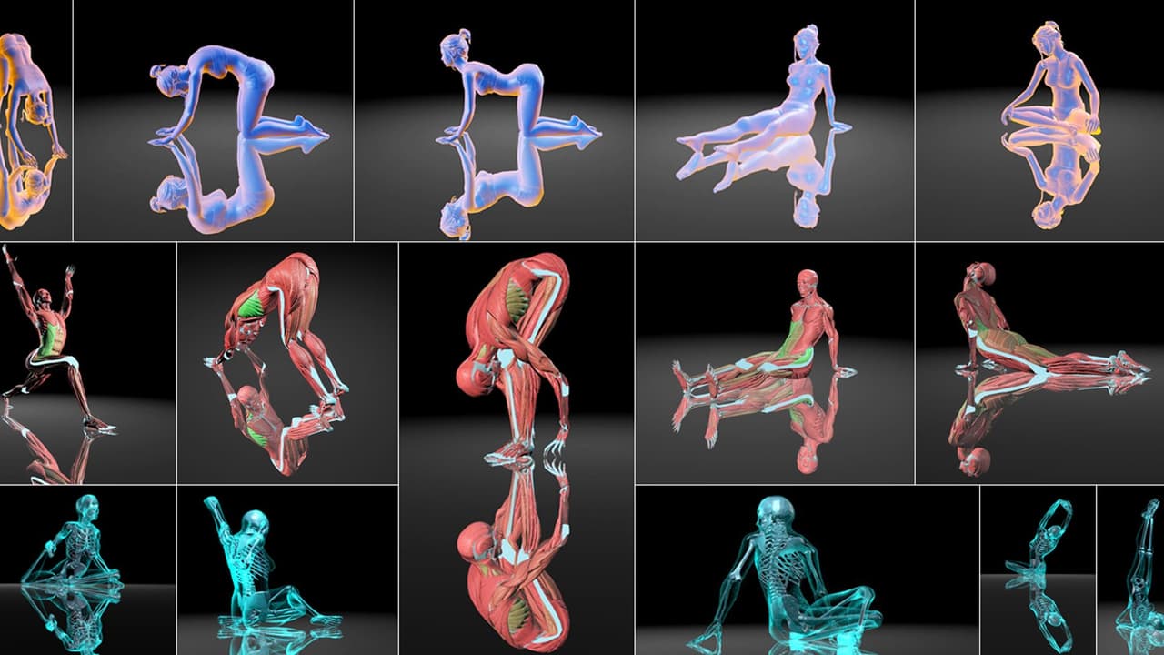 VirtuaLiron - Immersive YOGA practice screenshot 2