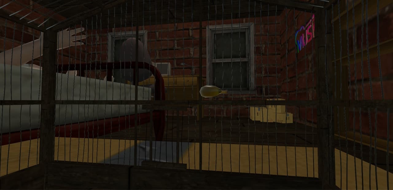 Cage Simulator