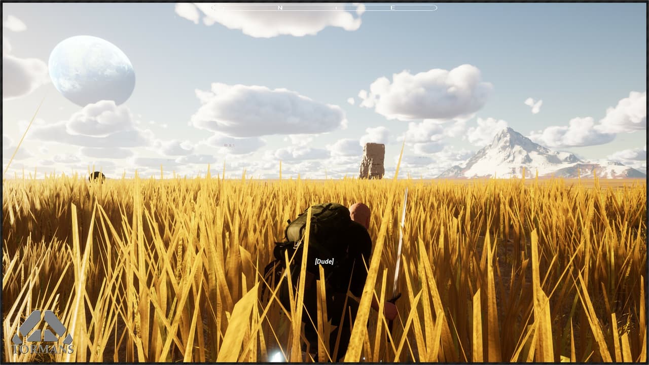 Tormans screenshot 4