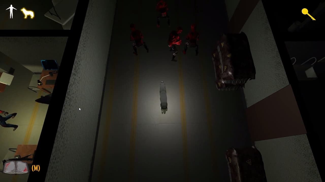 Pandemia 2025