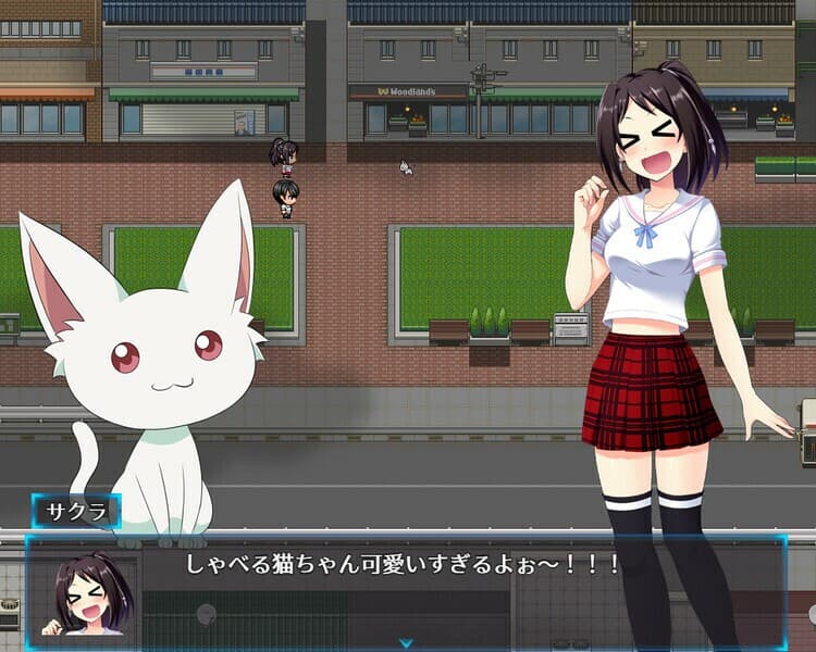 Prisseceal, the Dazzling-and-Flaring Peach Princess screenshot 5