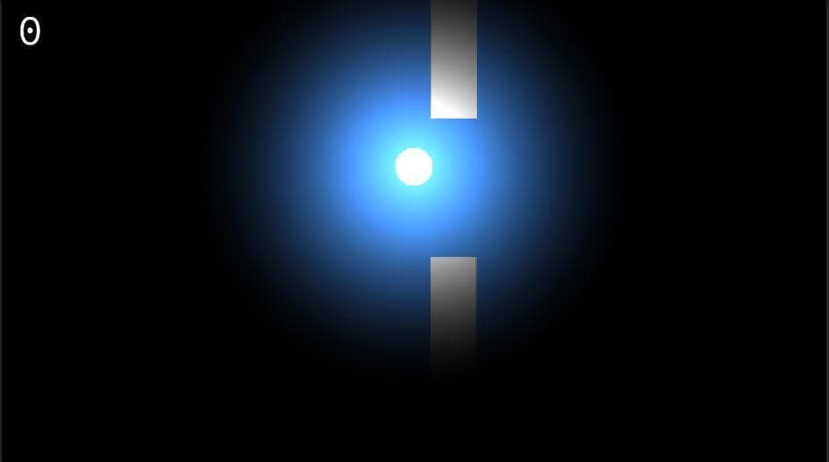 Circle Fly