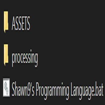 Custom Programming Lang