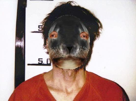Seal vs. S.E.A.L