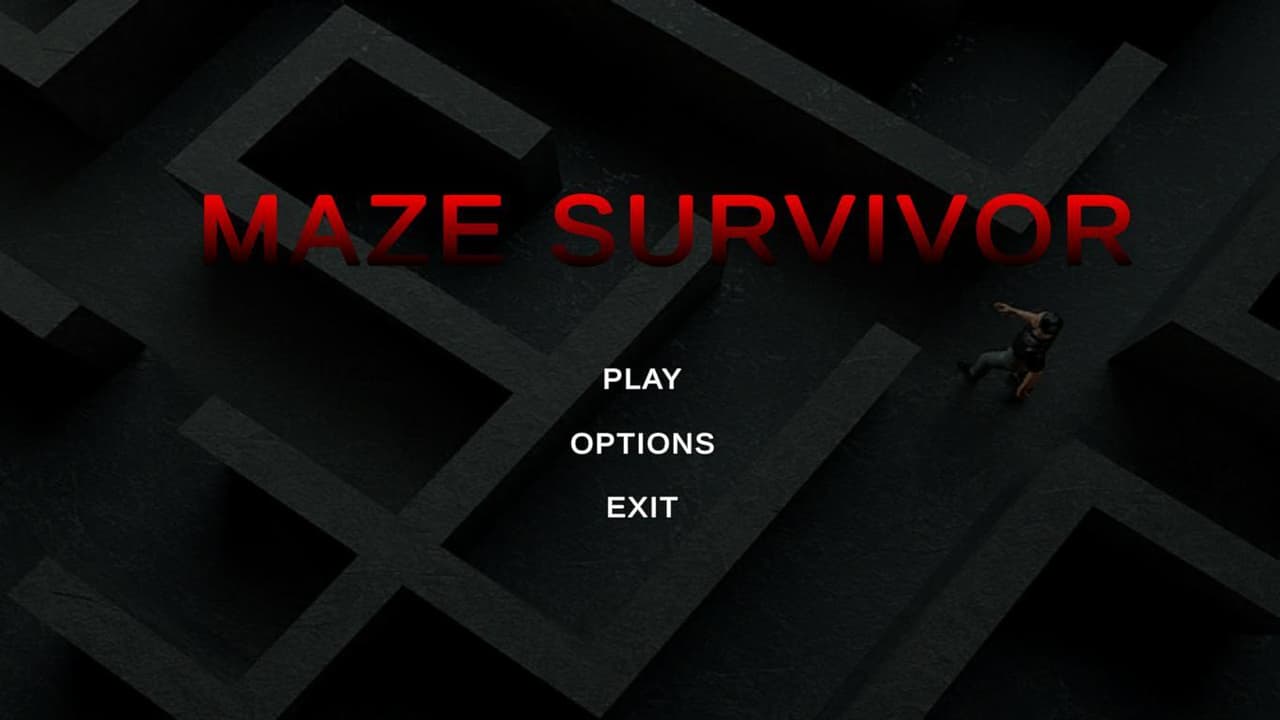 Maze Survivor (ReshmaDombale) (ReshmaDombale) screenshot 2
