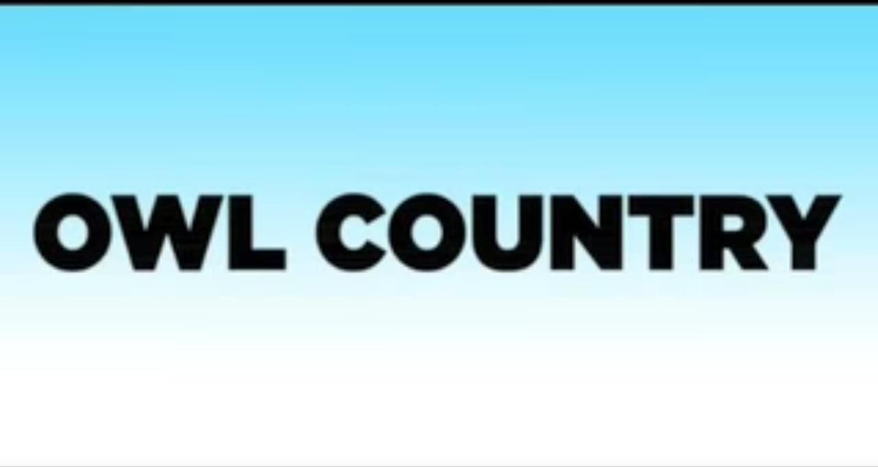 Owl Country screenshot 2