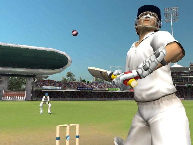 Brian Lara International Cricket 2005 screenshot 3