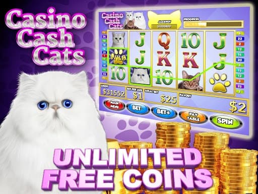 Casino Cash Cats Kitty Slots screenshot 2