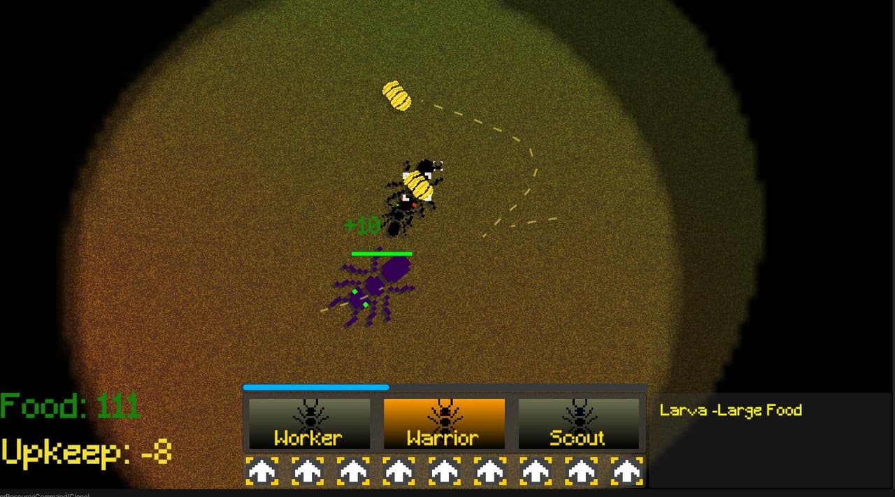 Ants Ants Ants