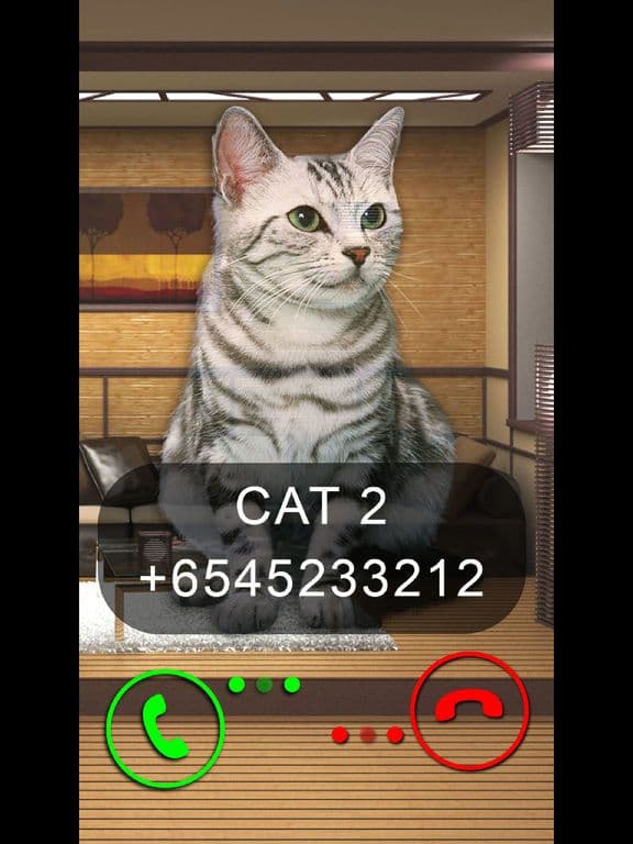 Fake Video Call Cat screenshot 3