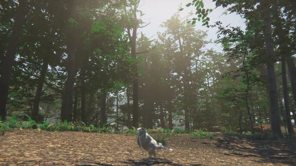 Bird screenshot 4