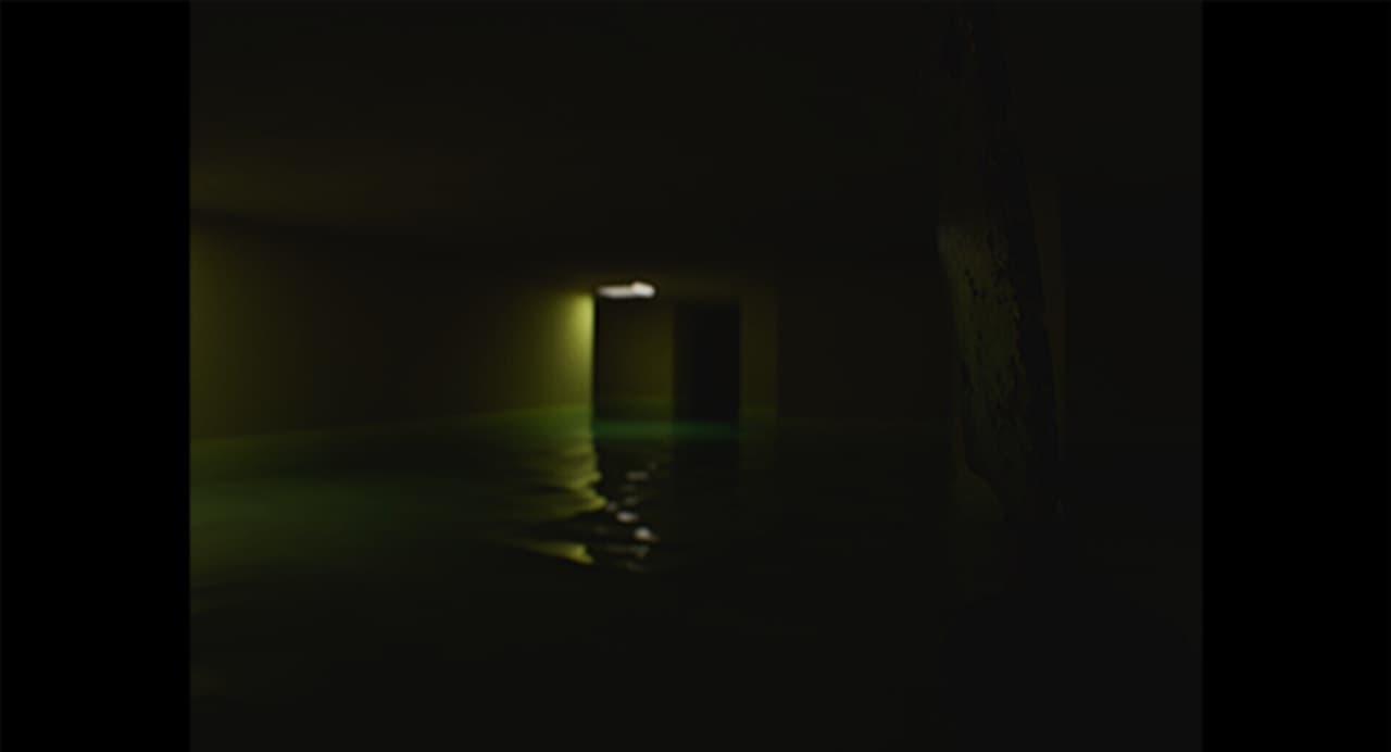 Backrooms: Liminal Conflict
