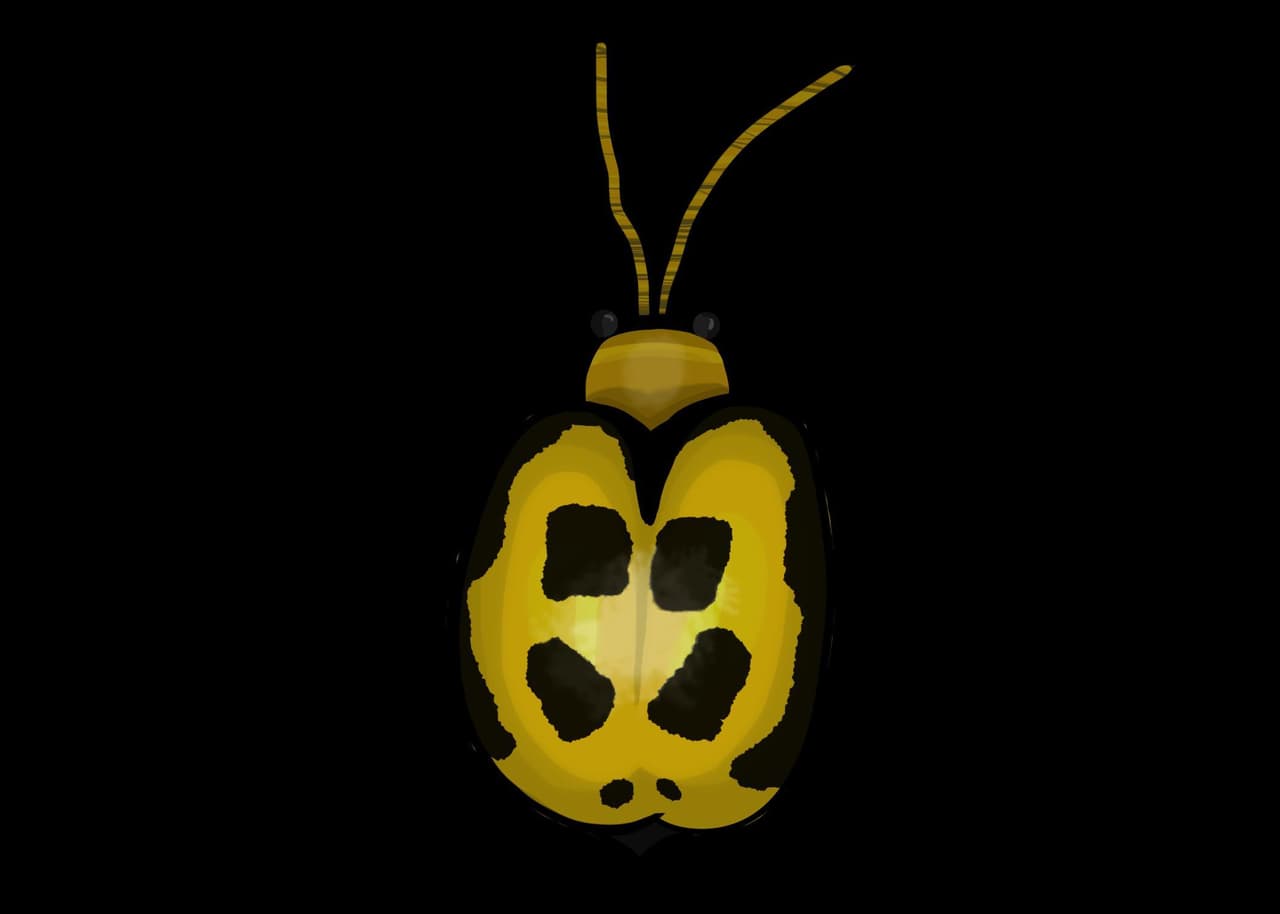 Pepper Plant Peet